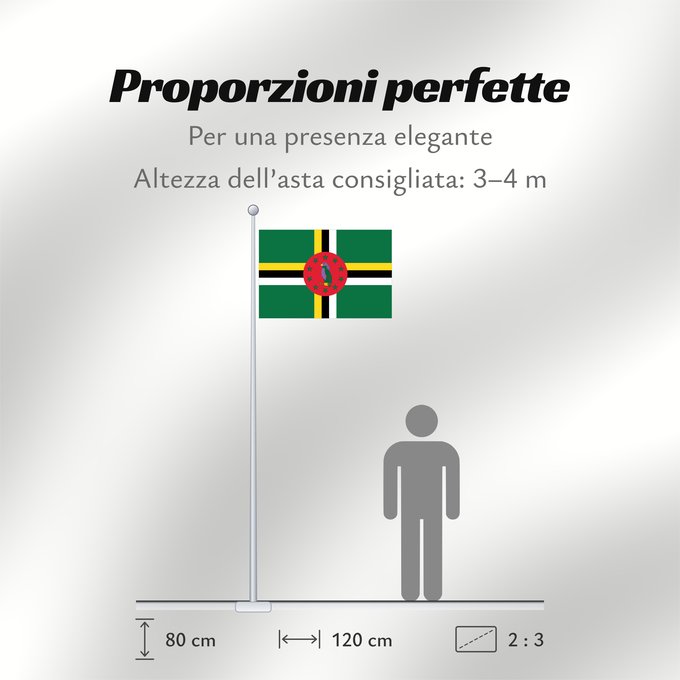 Proporzioni della bandiera: Dominica Dominique Dominica lipp Dominican ドミニカ国の国旗 Флаг Доминики Dominike Dominicas