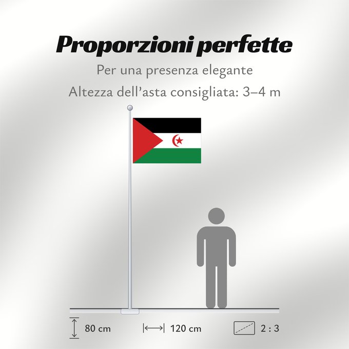Proporzioni della bandiera: Sahrawi Arab Democratic Republic Western Sahara République arabe sahraouie démocratique República Árabe Saharaui Democrática Demokratischen Arabischen Republik Sahara Repubblica Democratica Araba Sahrawi Arabische Democratische Republiek Sahara República