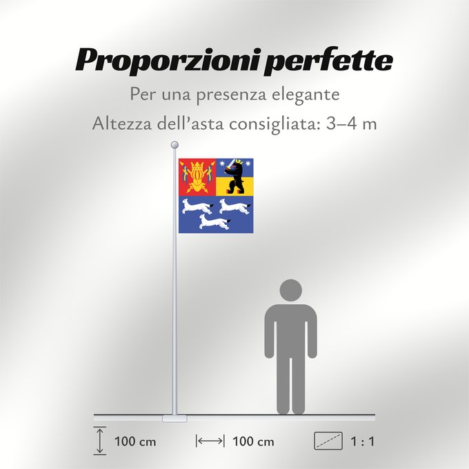 Proporzioni della bandiera: Länsi-Suomen lääni