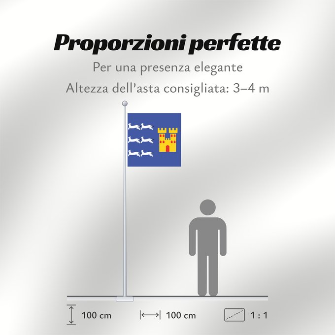 Proporzioni della bandiera: Oulun lääni