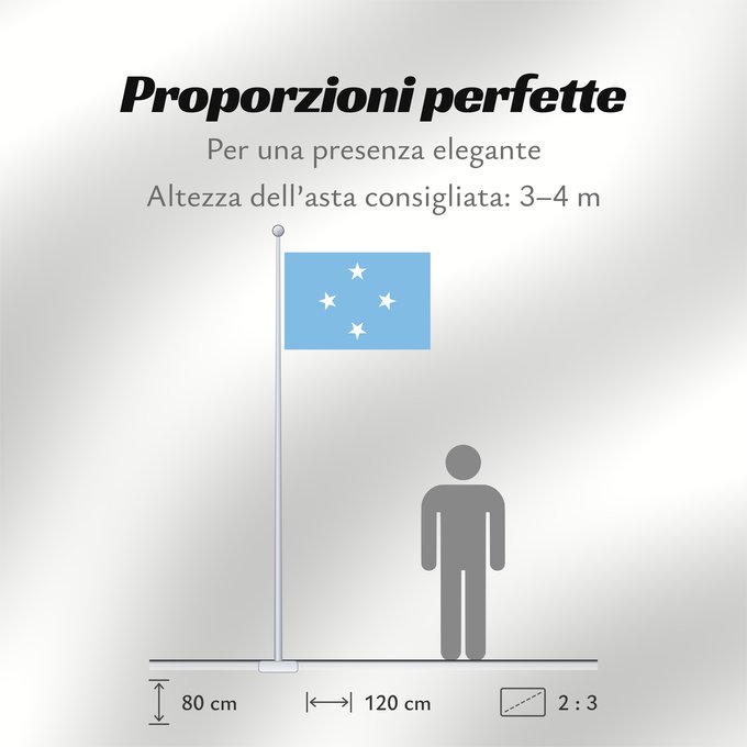 Proporzioni della bandiera: Federated States of Micronesia	Micronesia	Micronésie	Mikronesien