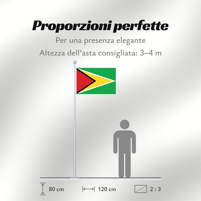 Proporzioni della bandiera: Guyana	Guiana	Wayana wiphala	Gujano	Gwayana	Wayana unancha	Флаг Гайаны	Guyanas	Quốc kỳ Guyana
