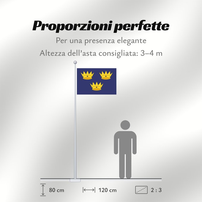 Proporzioni della bandiera: Munster