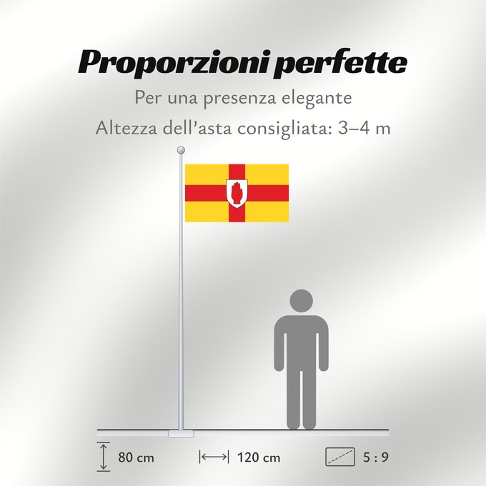 Proporzioni della bandiera: Ulster	Ulster  heraldic banner of traditional coat of arms of the province	Úlster 