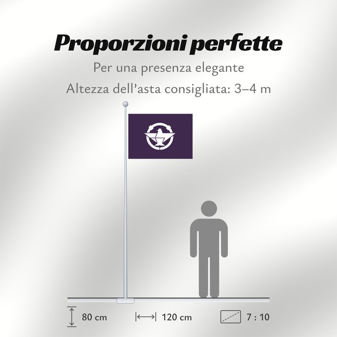 Proporzioni della bandiera: Ibaraki
