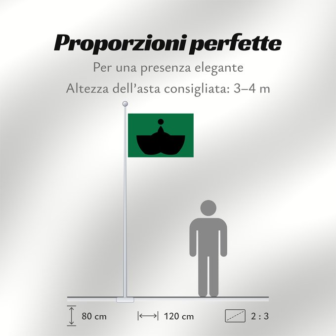 Proporzioni della bandiera:  Tiba [Chiba]