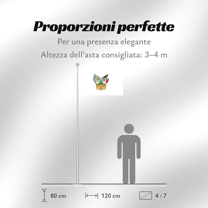 Proporzioni della bandiera: Hidalgo	hidalgo y fidalgo