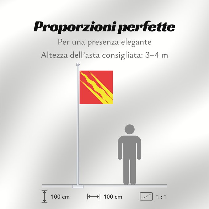 Proporzioni della bandiera: Østfold	County of Østfold, Norway	comté d’Østfold