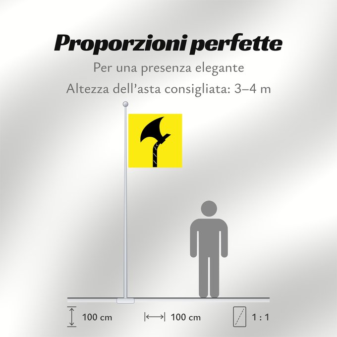Proporzioni della bandiera: Telemark