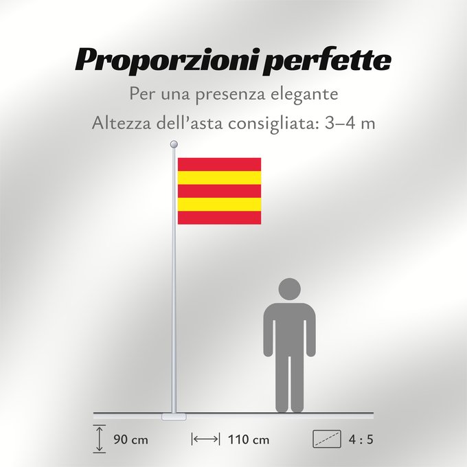 Proporzioni della bandiera: Aust-Agder	Former county of Aust‐Agder, Norway	comté d’Aust-Agder