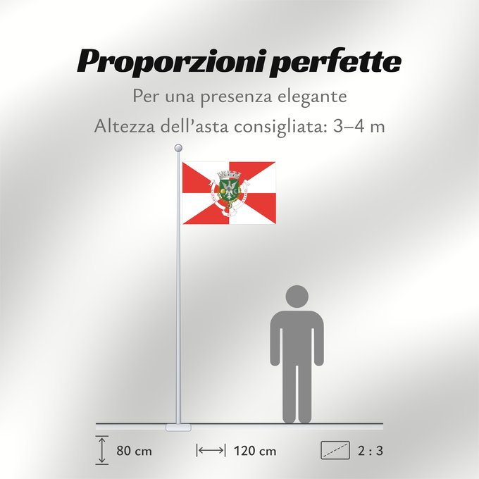 Proporzioni della bandiera: Aveiro