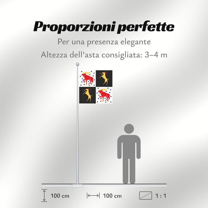 Proporzioni della bandiera: Gävleborgs län vapenflagga	Gävleborg County in Sweden	comté de Gävleborg	Gävleborg	Gävleborgs län	Gävleborg County	Gävleborgs läns vapenflagga