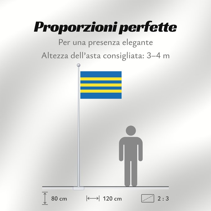 Proporzioni della bandiera: Trnavsky vlajka	Trnava Region	Région de Trnava	Región de Trnava	Trnava	Trnava Regione