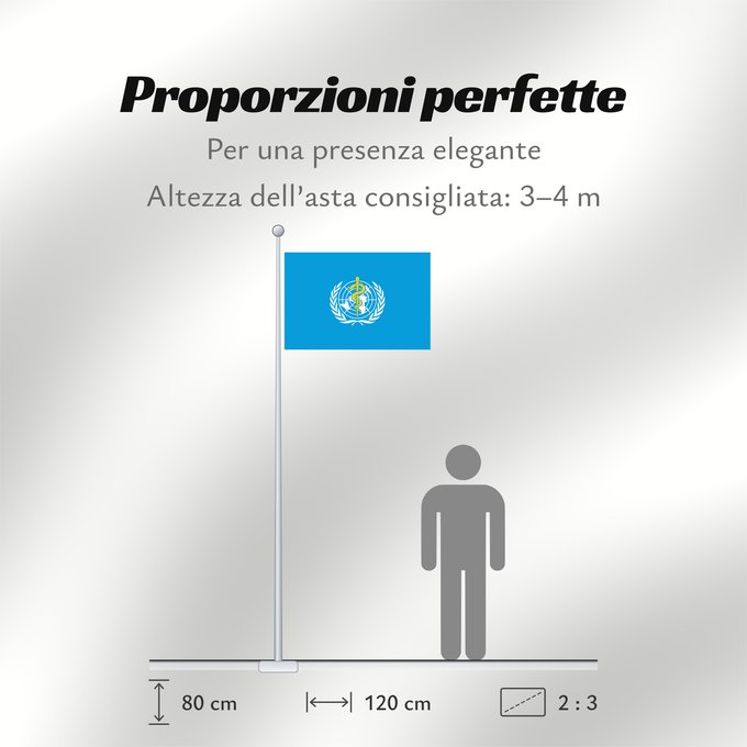 Proporzioni della bandiera: WHO World Health Organization L Organisation mondiale de la santé 世界衛生組織的旗幟。