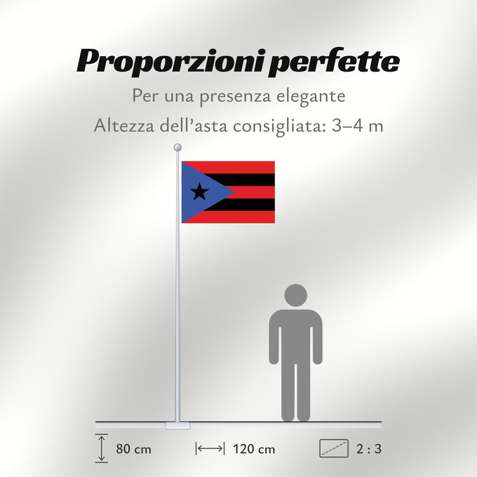 Proporzioni della bandiera: Puerto Rico