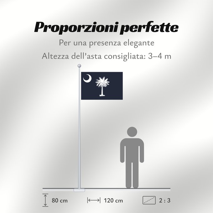 Proporzioni della bandiera: South Carolina	Caroline du Sud	Carolina del Sur	Carolina del Sud	علم كارولاينا الجنوبية	ᏐᎦᎴᏂ ᎦᏓᏘ	Ka hae Kalolaina Hema	Carolinae Meridionalis	Shádiʼááhjí Kééláanah Hahoodzo bidah naatʼaʼí	Флаг Южной Каролины	Američke savezne države Južne Karoline