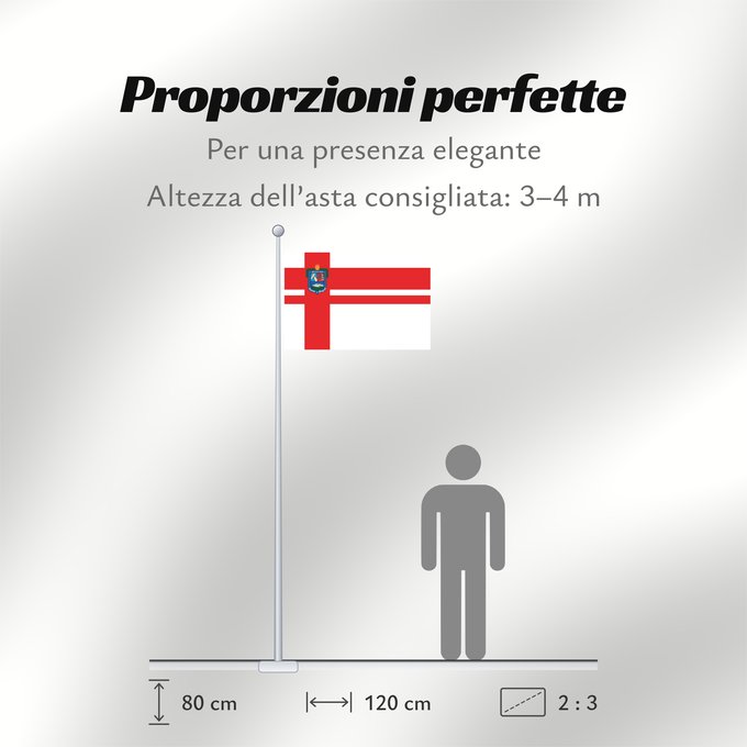 Proporzioni della bandiera: Florida Department	Florida