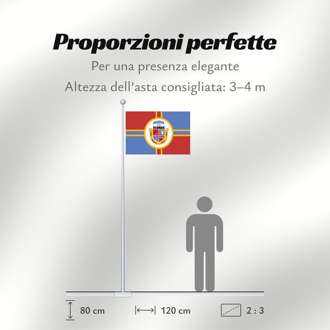 Proporzioni della bandiera: Flores Department	Flores