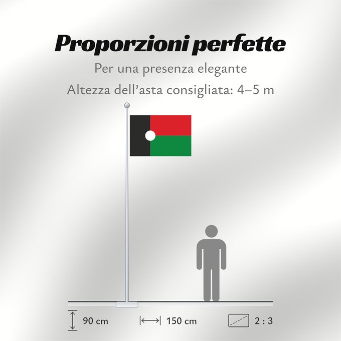 Proporzioni della bandiera: Partido Renovador Social	Social Renewal Party	Parti du Renouveau Social	Partido de Renovación Social	Partei der sozialen Erneuerung	Partito del Rinnovamento Sociale