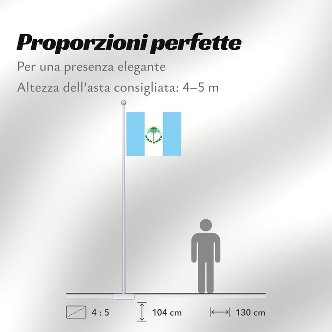 Proporzioni della bandiera: Neuquén