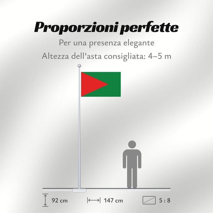 Proporzioni della bandiera: El Alto