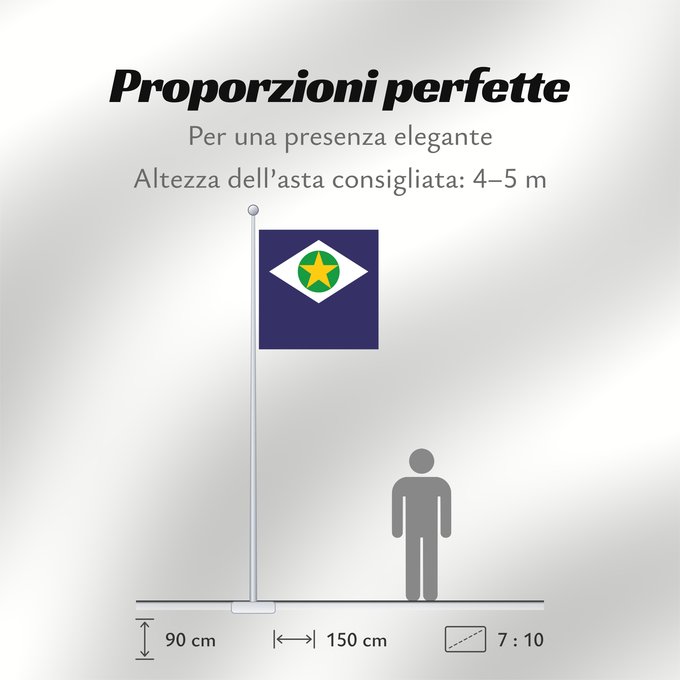 Proporzioni della bandiera: Mato Grosso	State of Mato Grosso, Brazil	Mato Grueso	Mato Grosso, Brasil