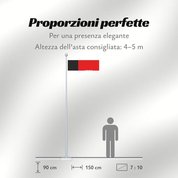 Proporzioni della bandiera: Paraíba