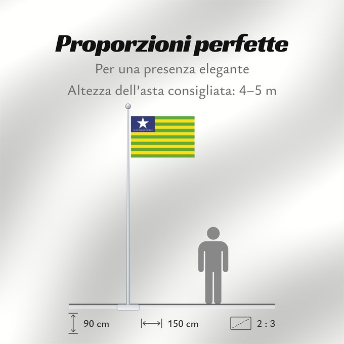 Proporzioni della bandiera: Piauí
