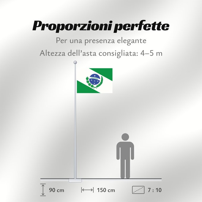Proporzioni della bandiera: Paraná
