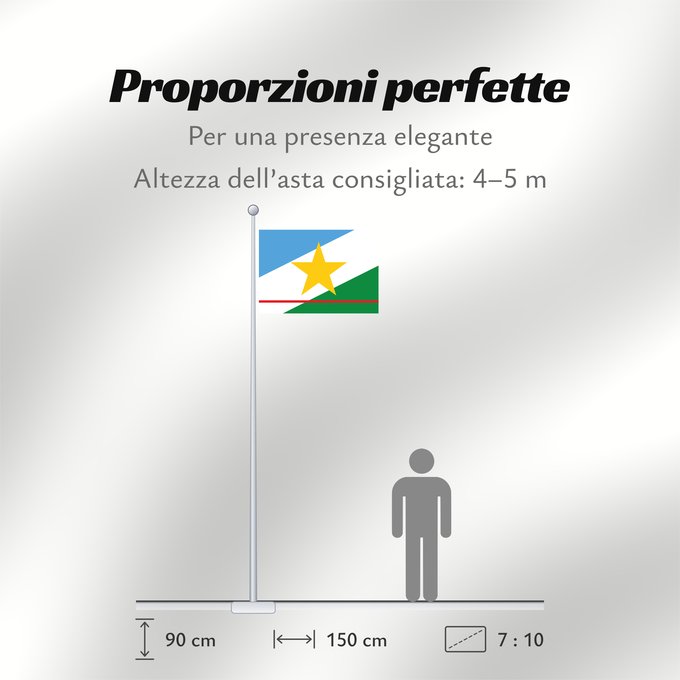 Proporzioni della bandiera: Roraima