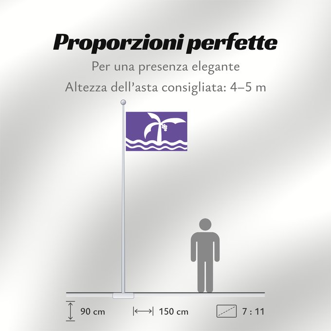 Proporzioni della bandiera: Macae Municipio de Macae