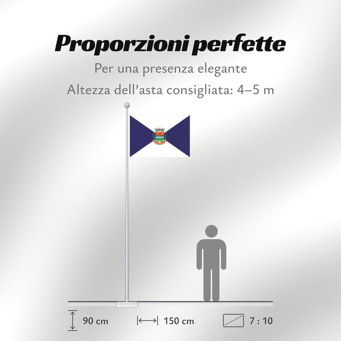 Proporzioni della bandiera: São Gonçalo São Gonçalo, RJ, Brazil