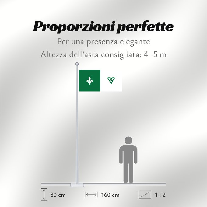 Proporzioni della bandiera: Franco-Ontarian W Franco-Ontarian Flag Ontario, Canada