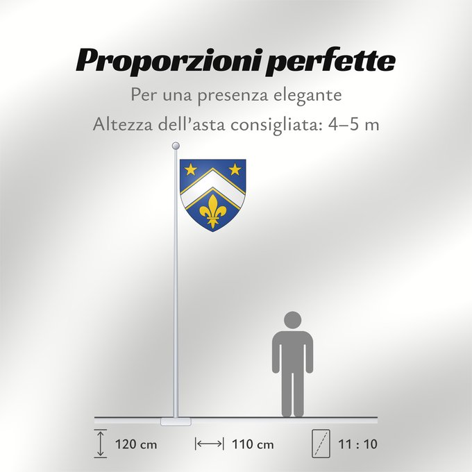 Proporzioni della bandiera: Martial Asselin Arms