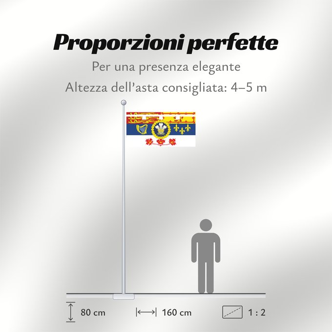 Proporzioni della bandiera: Personal Flag of the Prince of Wales for use in Canada