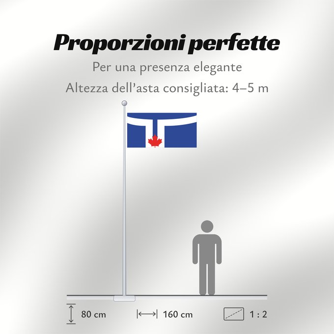 Proporzioni della bandiera: Toronto	Toronto, Ontario
