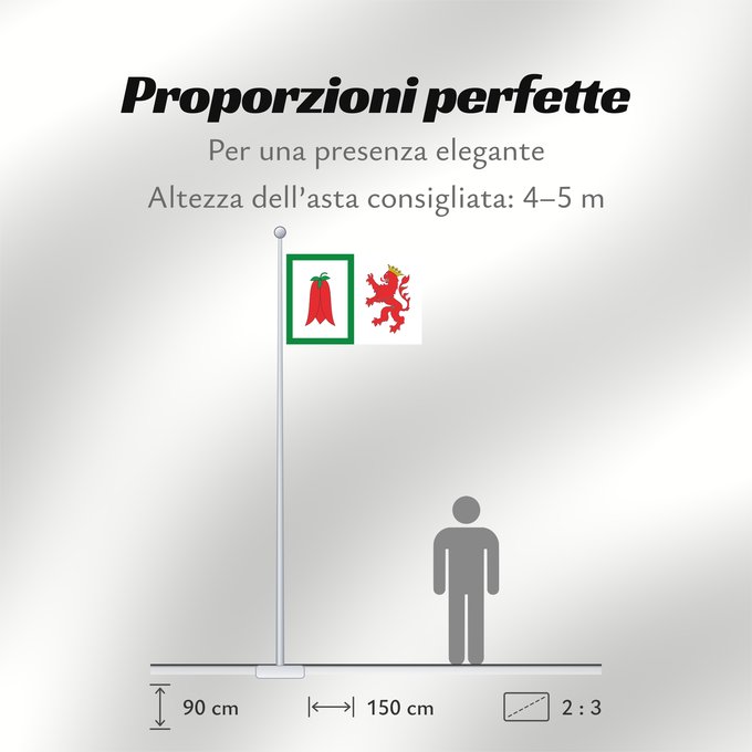 Proporzioni della bandiera: Arauco	Arauco, Chile