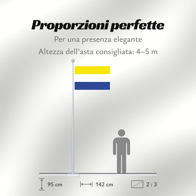 Proporzioni della bandiera: Panguipulli	Panguipulli, Chile