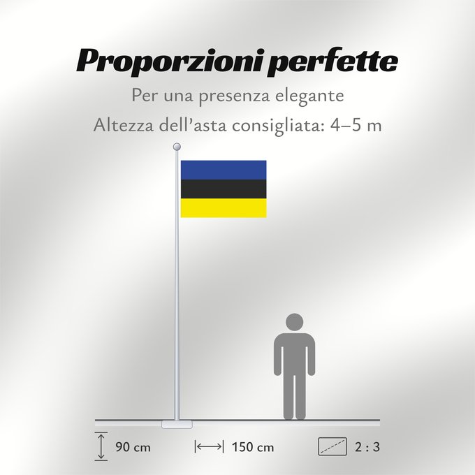 Proporzioni della bandiera: Placilla, Chile Placilla