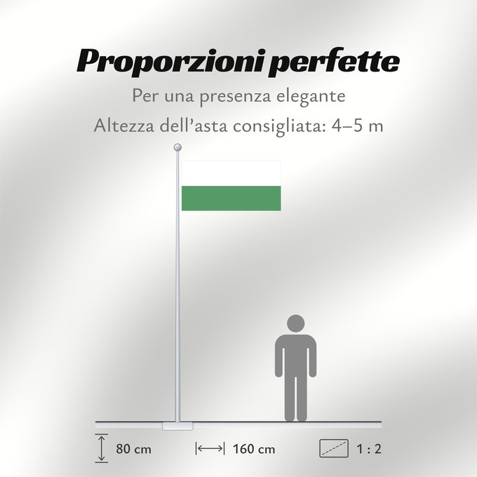 Proporzioni della bandiera: Aranzazu Caldas Aranzazu (Caldas) Municipio de Aranzazu Caldas