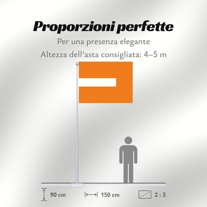 Proporzioni della bandiera: Enciso Santander Enciso (Santander) Municipio de Enciso Santander