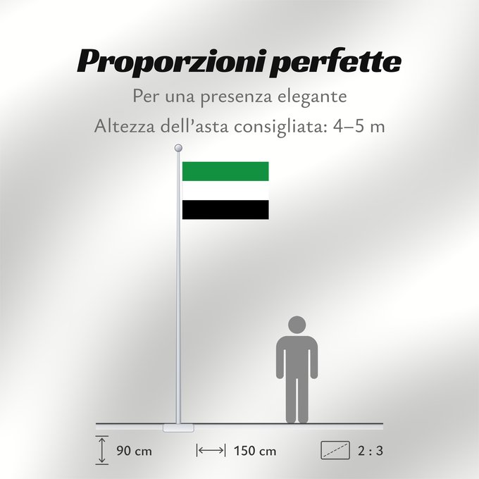 Proporzioni della bandiera: Hatonuevo La Guajira Hatonuevo (La Guajira) Municipio de Hatonuevo La Guajira