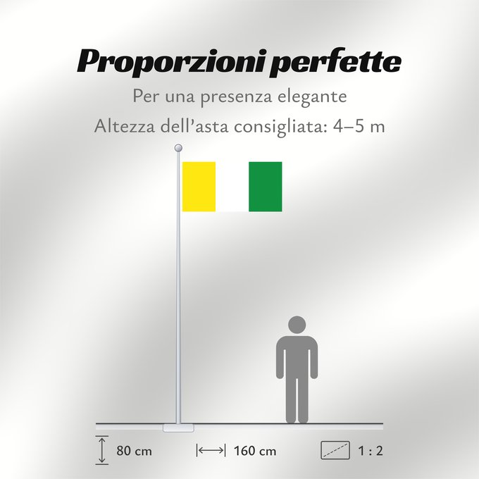 Proporzioni della bandiera: Morales Cauca Morales (Cauca) Municipio de Morales Cauca