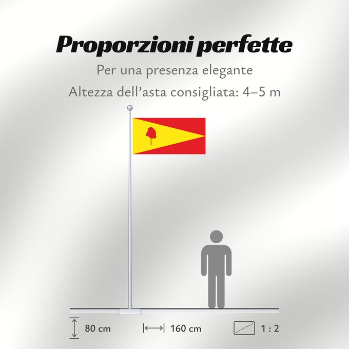 Proporzioni della bandiera: Pereira  Risaralda	Pereira	Ciudad de Pereira  Risaralda