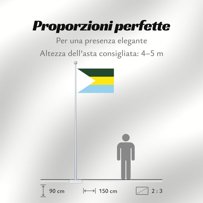 Proporzioni della bandiera: San Jacinto del Cauca Bolívar San Jacinto del Cauca Municipio de San Jacinto del Cauca Bolívar