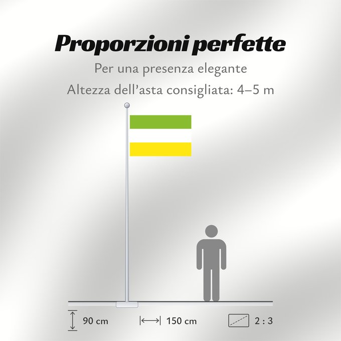 Proporzioni della bandiera: San Martín Meta San Martín (Meta) Municipio de San Nartín de los Llanos Meta