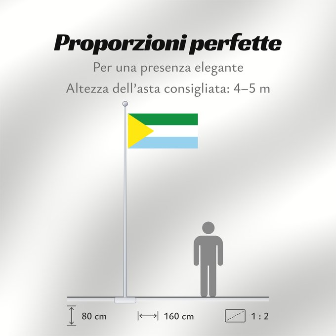 Proporzioni della bandiera: San Vicente de Caguán  Caquetá	San Vicente de Caguán	Municipio de San Vicente del Caguán  Caquetá