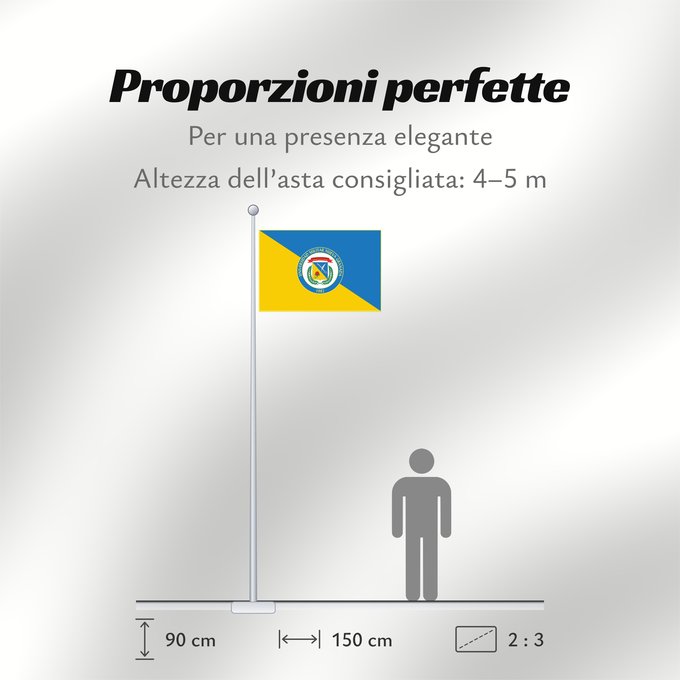 Proporzioni della bandiera: Universidad Militar Nueva Granada