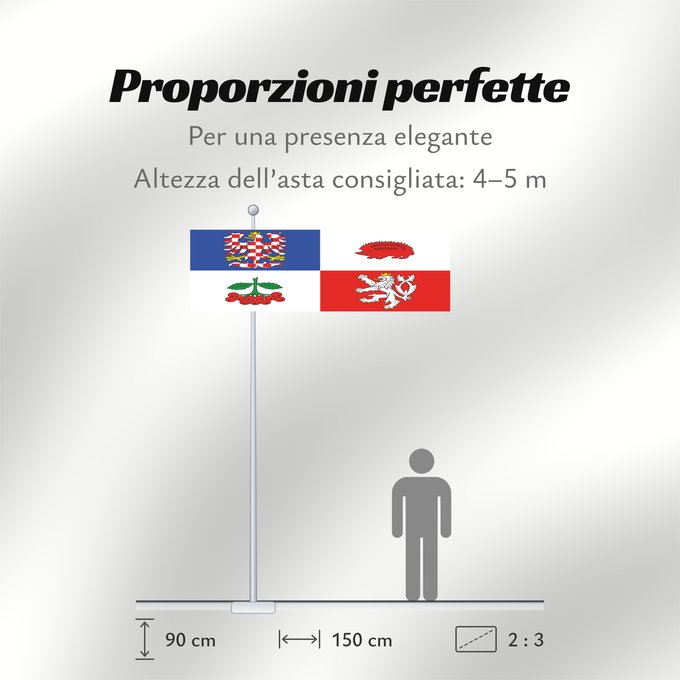 Proporzioni della bandiera: Vysocina Region	Vysočina Region	Région de Vysočina	Región de Vysočina	Region Vysočina