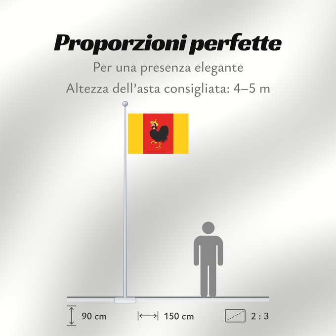 Proporzioni della bandiera: Ceska Trebova CZ	Municipal flag of Česká Třebová town	Česká Třebová	Města Česká Třebová